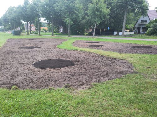 Eilandjes voor voorgezaaide moederplanten. Om  vlot zaad te gaan verspreiden