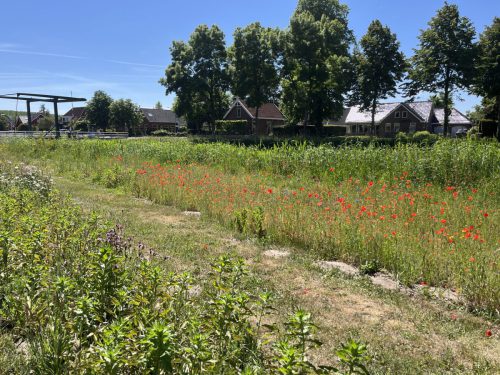 Veendijksebrug perk 2