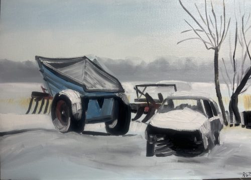 Achter mijn tuin  - januari 2026