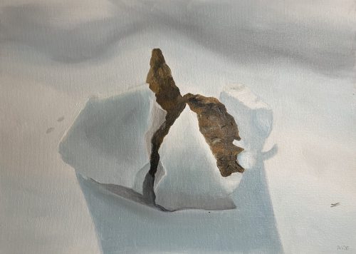 Een molshoop breekt door de sneeuw -  januari 2026