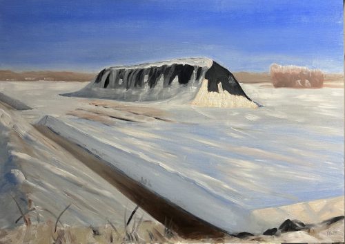 Winteropslag langs de Pastorieweg in Vriescheloo - januari 2026