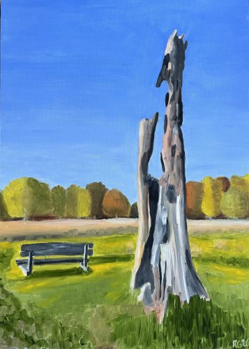 Dode boom bij het Eemboerveld, Vlagtwedde - januari 2026