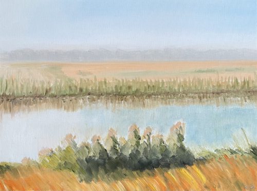 Zomermorgen, zijkanaal Veelerveen - januari 2026